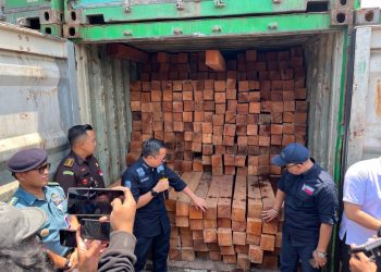 Tindak 55 Kontainer Berisi Kayu Olahan Ilegal Asal Kalimantan Demi Kekayaan SDA