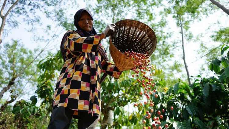 Petani di Cisoka Perolehan Bantuan Pengering Tenaga Surya dari Pertamina