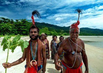 Menelusuri Hutan dari Timur ke Barat, Menggali Kisah Komunitas Adat Melestarikan Lingkungan untuk Masa Depan
