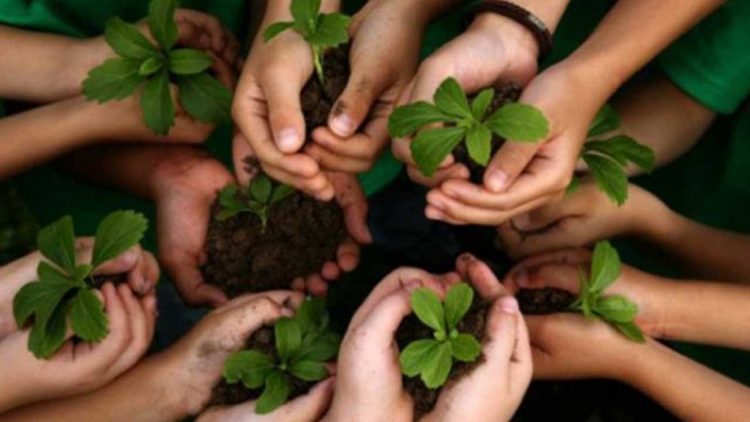 Wakil Bupati Gresik Ajak PPPK Tanam Pohon untuk Penghijauan