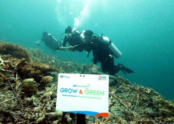 BRI Menanam Grow dan Green Targetkan Terbangunnya Kesadaran Jaga Ekosistem Laut