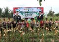 Kapolres Lamandau Dukung Program Ketahanan Pangan Nasional dengan Panen Jagung Serentak Tahap I 2025