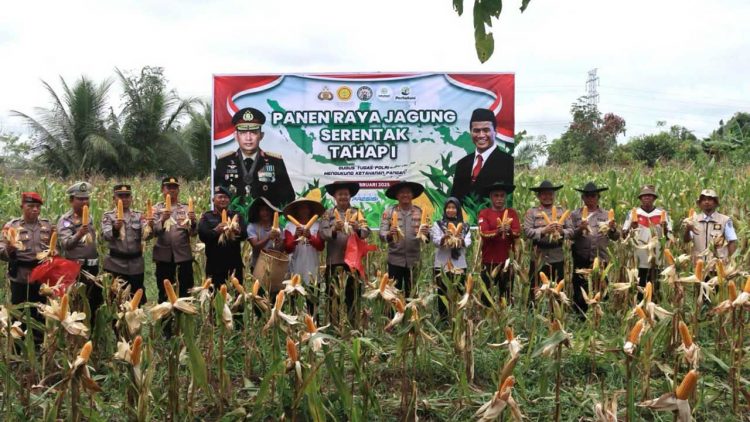 Kapolres Lamandau Dukung Program Ketahanan Pangan Nasional dengan Panen Jagung Serentak Tahap I 2025