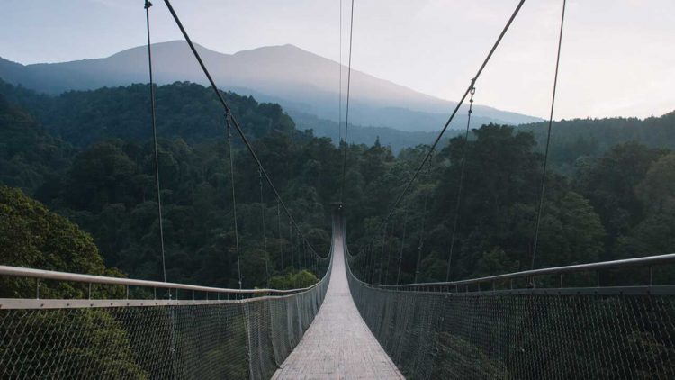 Kunjungan Wisatawan di Suspension Bridge Situ Gunung Menurun