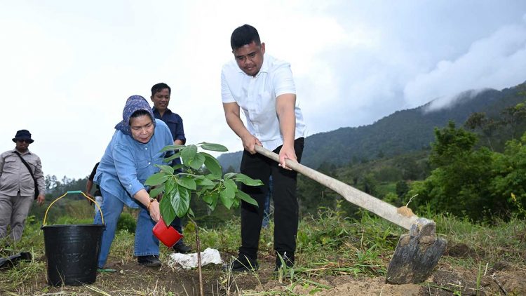 Gubernur Bobby Tanam Pohon dan Bagikan Ribuan Bibit di Girsang Sipangan Bolon
