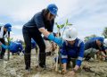 Yamaha Motor Group Lakukan Aksi Tanam Ratusan Ribu Mangrove di Indonesia