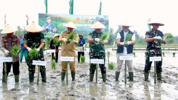 Pemkab Sergai Pantau Penanaman Perdana Padi Sinar Mentari