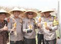 Kapolda Jawa Timur Panen Raya Jagung di Sidoarjo