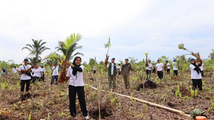 BRGM Restorasi 1,6 Juta Hektar Gambut Dan Rehabilitasi 84.396 Hektar Mangrove
