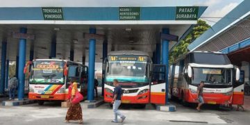 MudikPedia, Panduan Mudik Lengkap dalam Genggaman Buatan Kemkomdigi