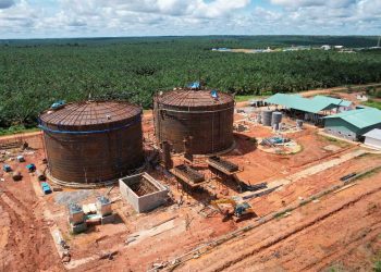 Selangkah Lagi, Biogas Power Plant Bakal Beroperasi di Papua