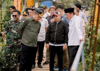Pemkab Pesibar Bangun Jembatan Gantung di Bengkunat Tunggu Kesepakatan Dengan BB TNBBS