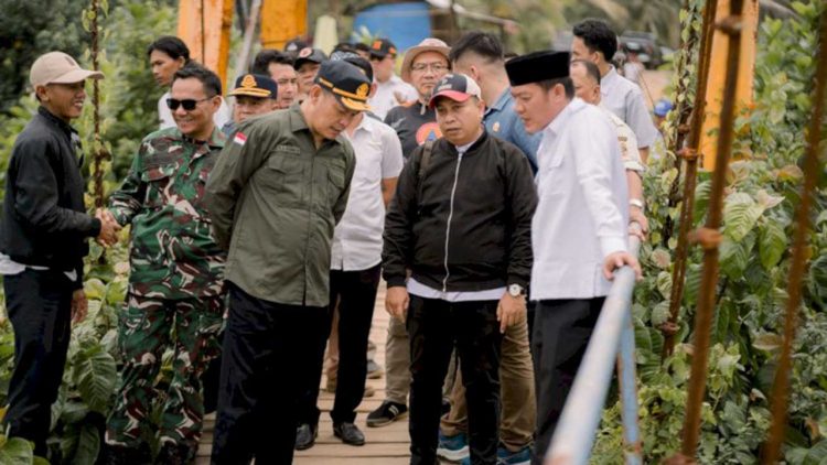 Pemkab Pesibar Bangun Jembatan Gantung di Bengkunat Tunggu Kesepakatan Dengan BB TNBBS
