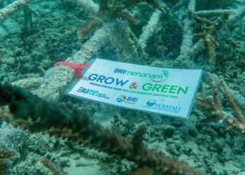 Lewat “Grow & Green” BRI Jadi Penggerak Ekonomi Masyarakat NTB
