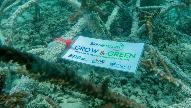 Lewat “Grow & Green” BRI Jadi Penggerak Ekonomi Masyarakat NTB
