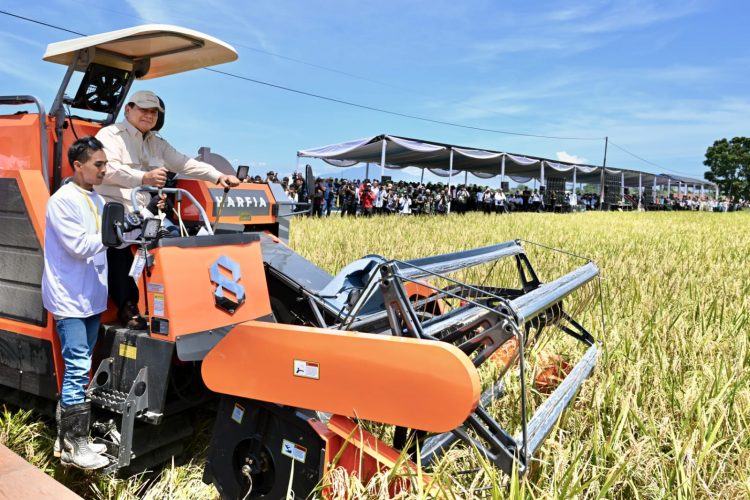 Dukung Swasembada Pangan, Menteri Dody Dampingi Presiden Prabowo Panen Raya Bersama Petani di Majalengka