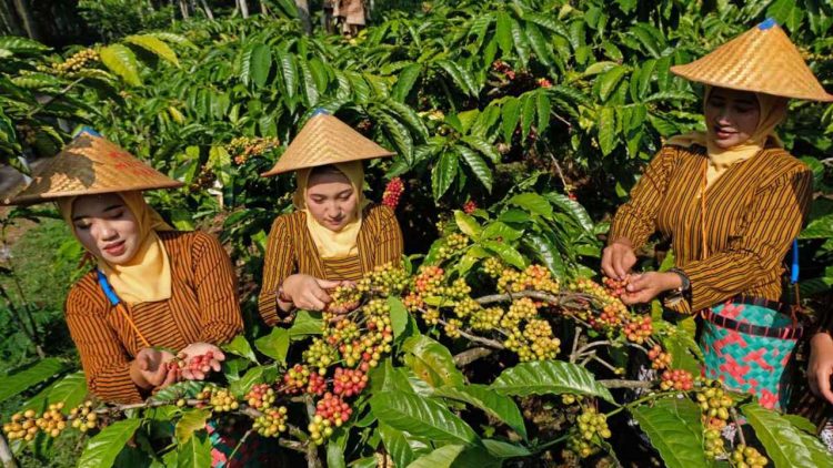 Holding Ultra Mikro BRI berkomitmen Ciptakan Kesetaraan Gender dengan Gandeng UMKM Perempuan