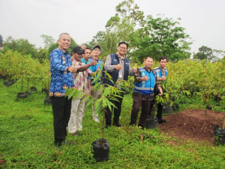 Dorong Pertumbuhan Ekonomi Petani dan Pelestarian Lingkungan, Jasa Marga Group Tanam 1.500 Bibit Durian di Pati