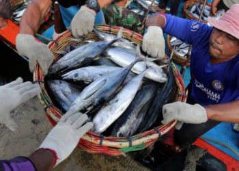 Miliki Potensi di Bidang Perikanan Pati Ditekankan Maksimalkan Produksi