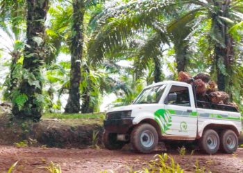 Industri Perkebunan Kelapa Sawit Mulai Jajaki Kendaraan Listrik untuk Operasional