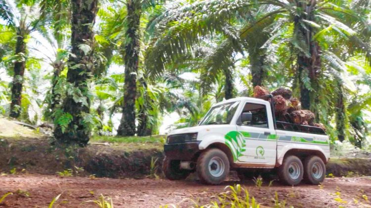 Industri Perkebunan Kelapa Sawit Mulai Jajaki Kendaraan Listrik untuk Operasional