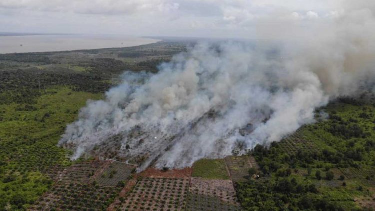 Status Siaga Darurat Karhutla di Siak Diumumkan hingga Bulan November