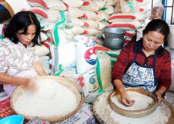 Jawa Timur Dinilai Jadi Penyuplai Beras Teratas Indonesia