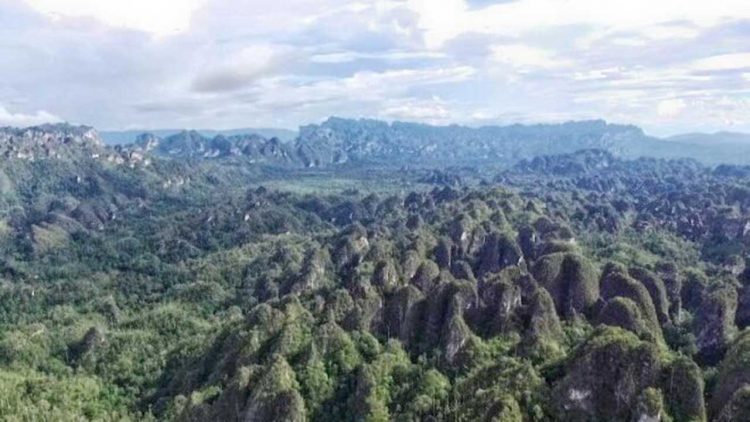 Karst Sangkulirang Mangkalihat Diproyeksikan Jadi Geopark