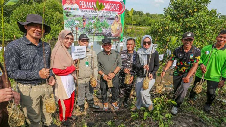 Walikota Tanjungpinang Ikut Tanam 5000 Pohon Mangrove