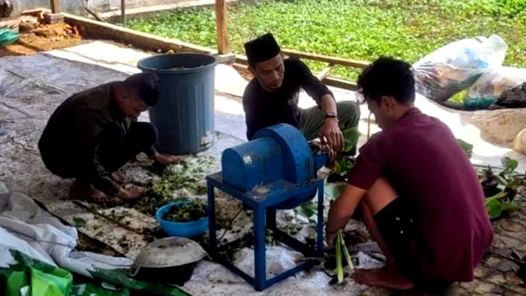 Eceng Gondok di Pekalongan Jadi Kompos untuk ‘Urban Farming’