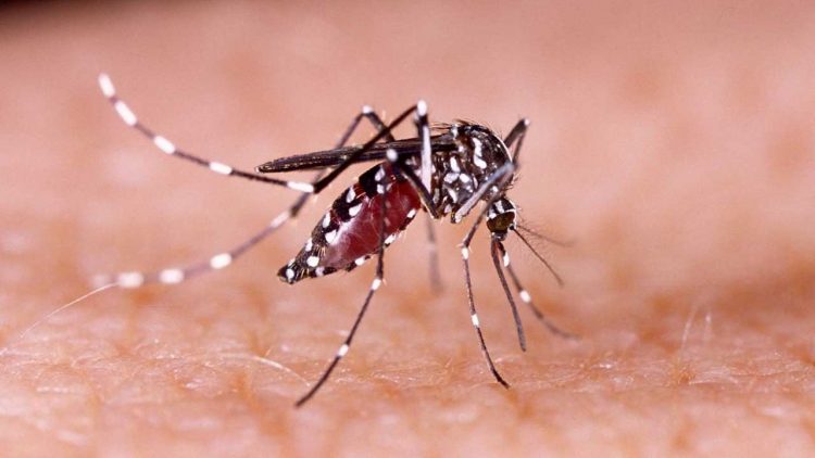 Dinkes Balikpapan Ingatkan Masyarakat Waspadai Flu dan DBD