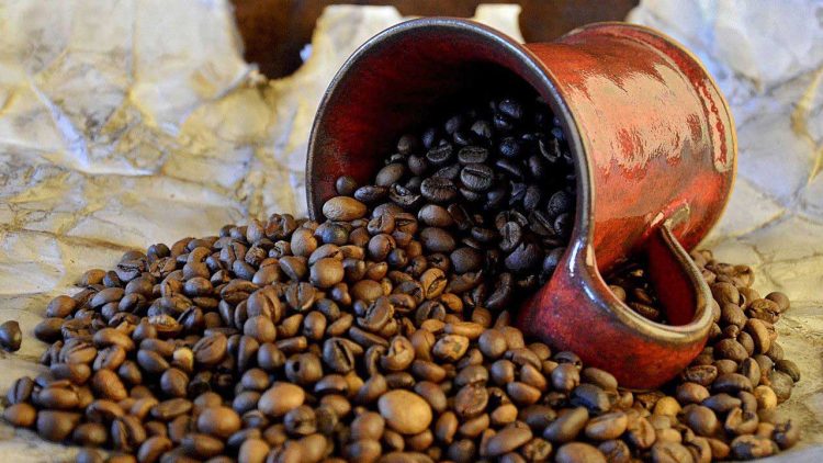 Bukit Asam Dukung Pengembangan Kopi Robusta di Sawahlunto