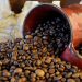 Bukit Asam Dukung Pengembangan Kopi Robusta di Sawahlunto