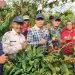 Kepahiang Gelar Lomba Budidaya Kopi Robusta Dorong Petani Jadi Agen Edukasi