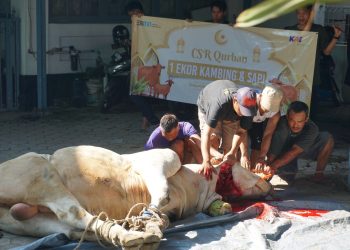 Idul Adha, KAI Services Sembelih Hewan Kurban di Distrik Tegal