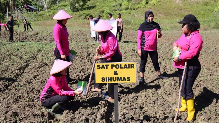 Bhayangkari Sarmi Dukung Program Ketahanan Pangan dengan Sulap Lahan Kosong jadi Kebun Jagung
