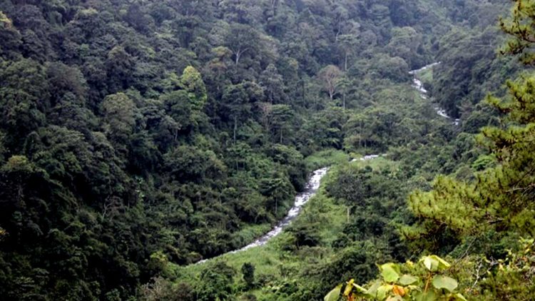 Raden Soerjo Raih Nilai Tertinggi dalam Pengelolaan Tahura