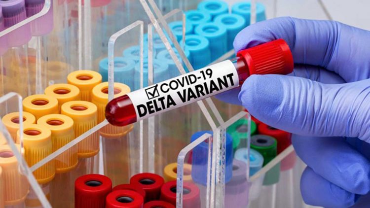 Perbandingan Varian COVID-19 XEC dan JN.1