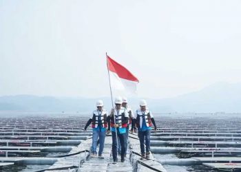 BRI Catat Portofolio Green Financing Capai Rp89,9 Triliun per Kuartal I 2025