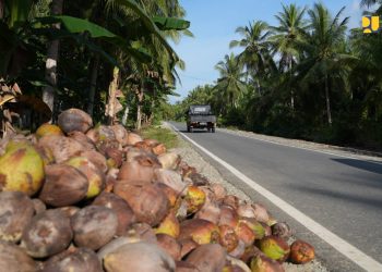 Percepatan Distribusi Pangan dan Energi, KemenPU Terima 3.136 usulan proyek jalan daerah