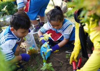 Pelindo Ajak Anak TK Barunawati Tanam Sayur dan Jaga Lingkungan