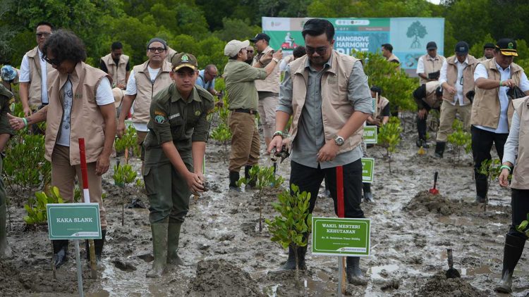 Perkuat Konsolidasi Nasional untuk Rehabilitasi Ekosistem Mangrove dalam Mangrove Festival