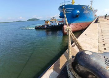 Terminal Kijing Kelolaan PTP Nonpetikemas Jadi Urat Nadi Ekonomi Kalimantan Barat