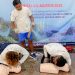 Kemenpar Gelar Pelatihan Diving Safety 1000 Initiatives di Raja Ampat