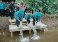 PKK Sumut Tebar 15000 Benih Ikan Nila Dorong Ketahanan Pangan Desa