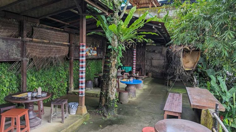 Teraz Agro Coffee and Swing Tawarkan Wisata Kopi dan Ayunan Ekstrem di Karangasem