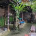 Teraz Agro Coffee and Swing Tawarkan Wisata Kopi dan Ayunan Ekstrem di Karangasem