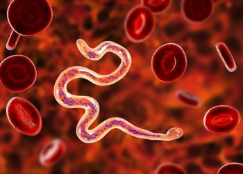 Tapanuli Selatan Resmi Bebas dari Filariasis Kusta dan Frambusia