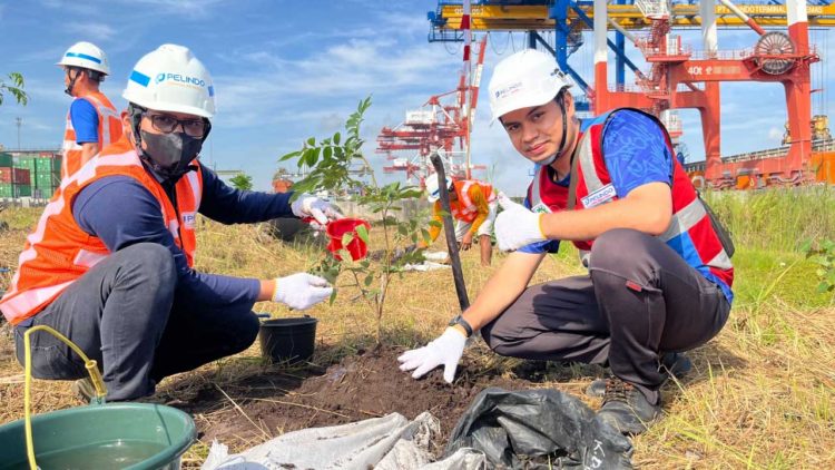 Pelindo Terminal Petikemas Tanam 1.500 Pohon di Seluruh Terminal Sambut HUT RI ke-80