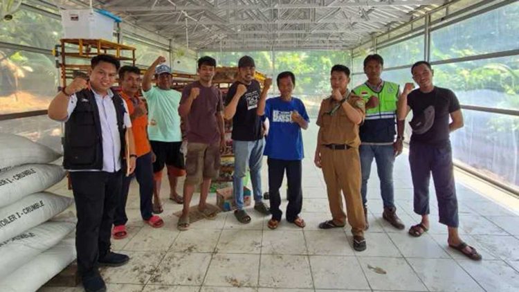 PT Bukit Asam Dorong Kemandirian Ekonomi Masyarakat Lewat Program Budidaya Burung Puyuh